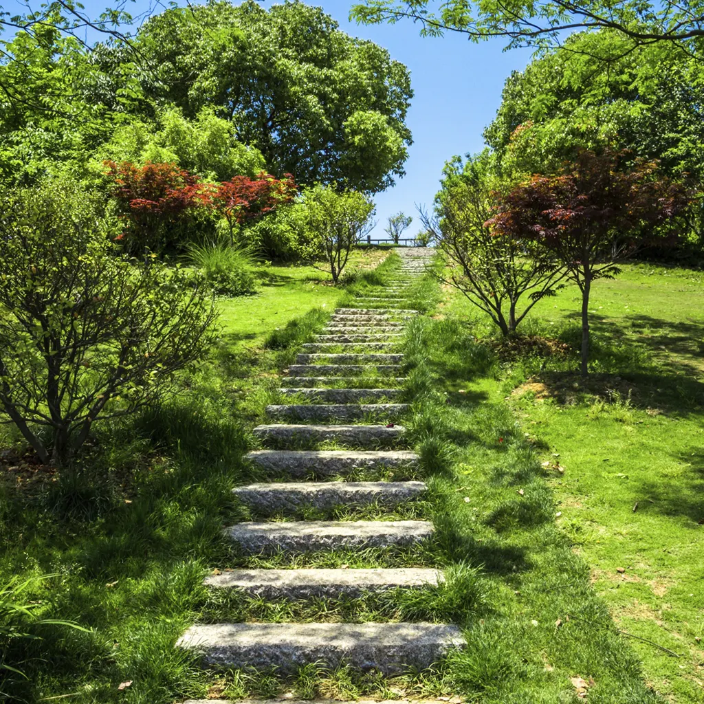 Manutenção de Jardins