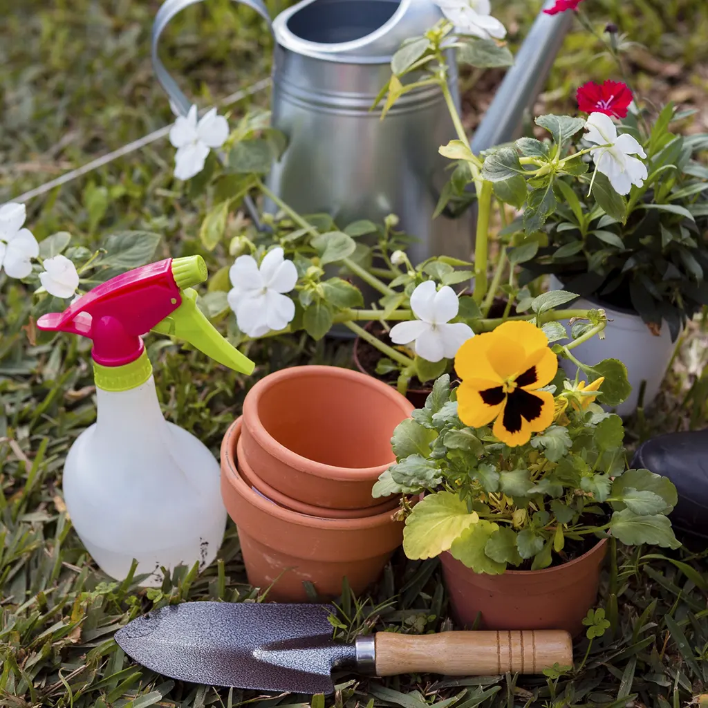 Projeto de Paisagismo
